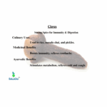 SeLaGa Premium Cloves (Laung) – Strong Aroma, Natural Warmth & Immunity Support | Premium Reusable Jar - Image 2