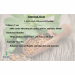 SeLaGa Premium Fenugreek Seeds (Methi) – Pure, Potent & Wellness-Rich Super Seeds | Premium Reusable Jar - Image 3