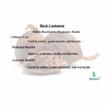 SeLaGa Premium Black Cardamom (Badi Elaichi) - Premium Reusable Jar - Image 5