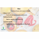 SeLaGa Premium Mace (Javitri) – Warm Aroma, Rich Spice Notes & Wellness Benefits | Premium Reusable Jar - Image 4