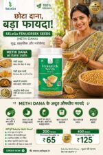SeLaGa Premium Fenugreek Seeds (Methi) – Pure, Potent & Wellness-Rich Super Seeds | Premium Reusable Jar - Image 3