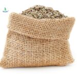 Earthy Seed Harmony – Cumin Seeds + Coriander Seeds -2X100g Premium Jar - Image 2