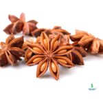 Sweet & Licorice Spice Pair – Fennel Seeds (100 Gram) + Star Anise (50 Gram) - Image 2