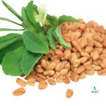 Bitter-Sweet Balance Duo – Fenugreek Seeds (250 Gram) + Poppy Seeds (50 Gram) - Premium Reusable Jars - Image 2